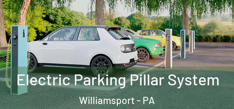 Electric Parking Pillar System Williamsport - PA