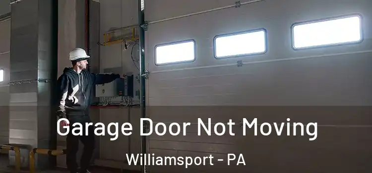  Garage Door Not Moving Williamsport - PA