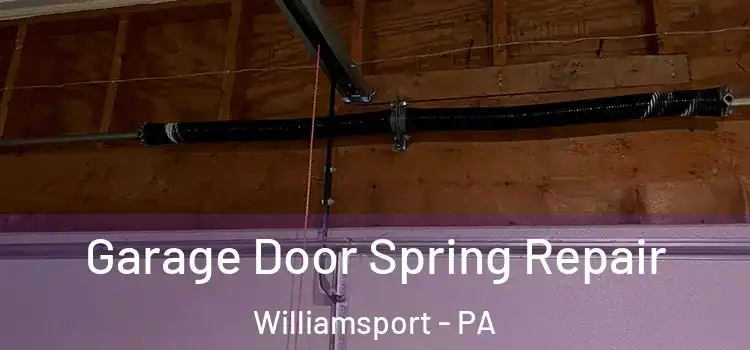  Garage Door Spring Repair Williamsport - PA
