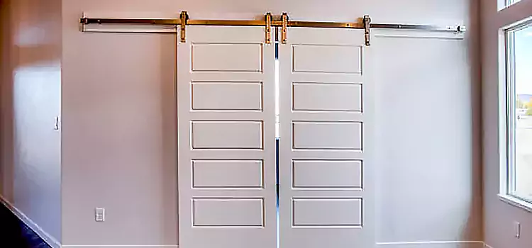 Glass Barn Door with Installation Hardware Kit Williamsport