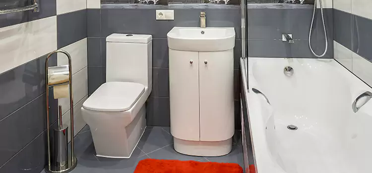 Hansgrohe Shaving Mirror Williamsport