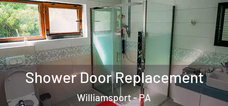  Shower Door Replacement Williamsport - PA